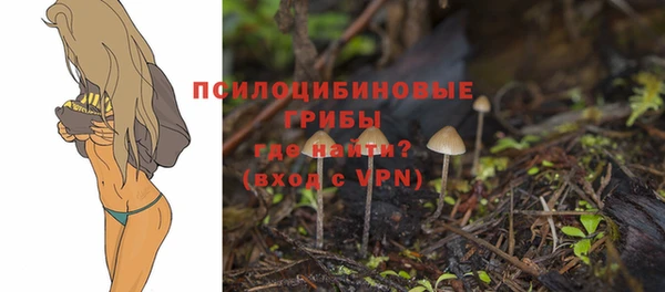прущая мука Баксан