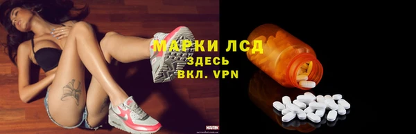 ешки Гатчина