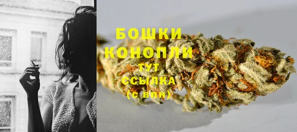 эйфоретик Архангельск